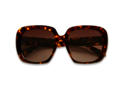 Amelia havana frame brown gradient lens 2