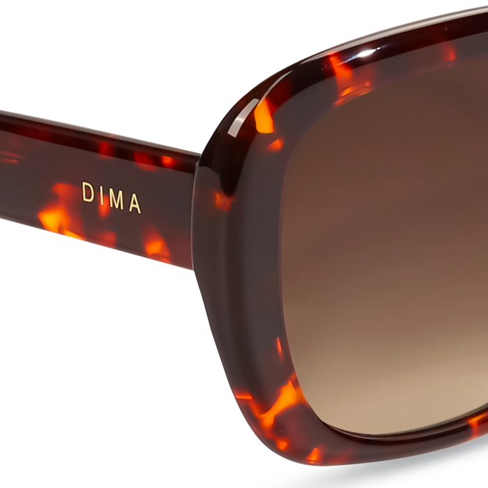 Amelia havana frame brown gradient lens 5