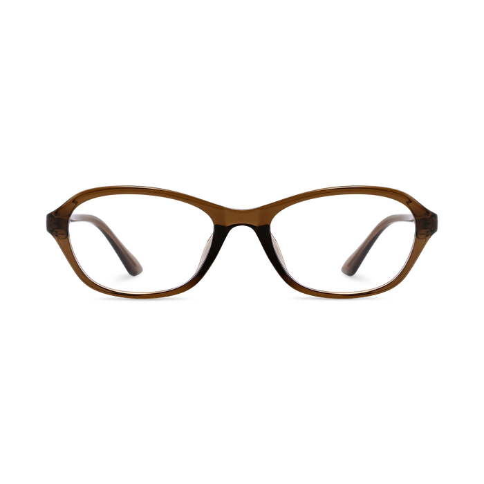 Aspen Dark Brown Round Glasses 2