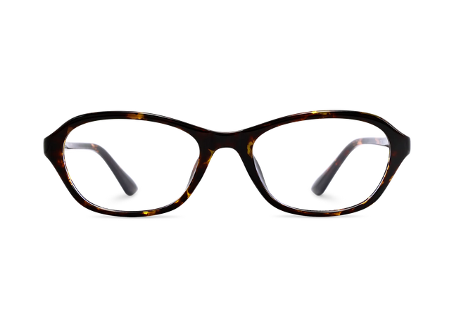 Aspen Dark Tortoise Round Glasses 2