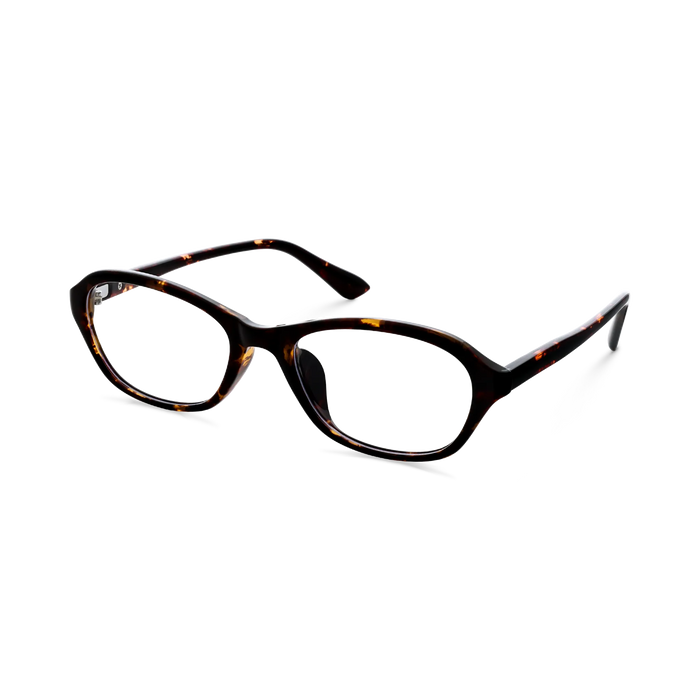 Aspen Dark Tortoise Round Glasses 3