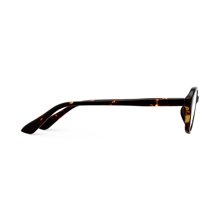 Aspen Dark Tortoise Round Glasses 4