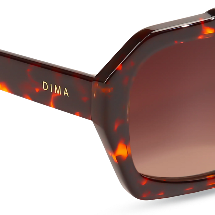 Beth havana frame brown gradient lens 5