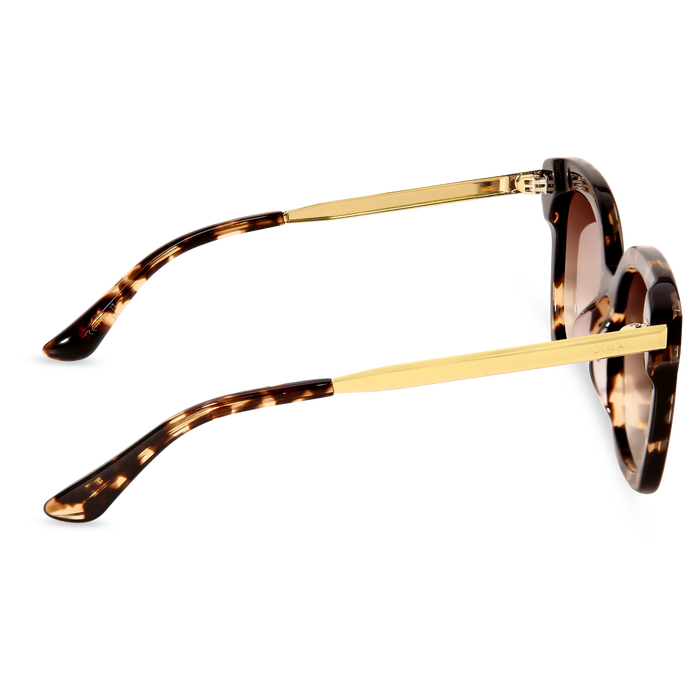 DIMA Eyewear Lulu Espresso Tortoise Frame Brown Gradient Lens 4