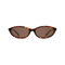 Dina havana frame brown lens 1