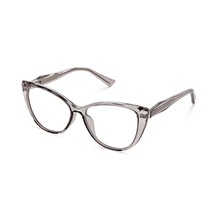 Eydology Aaron Transparent Grey Glasses 2