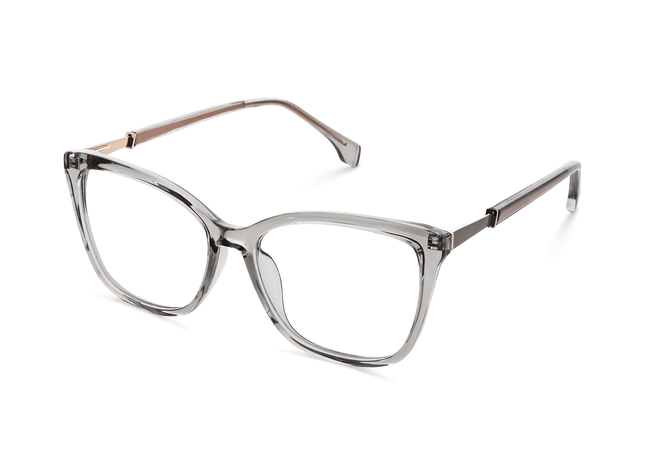 Eydology Alanna Transparent Grey Glasses 5