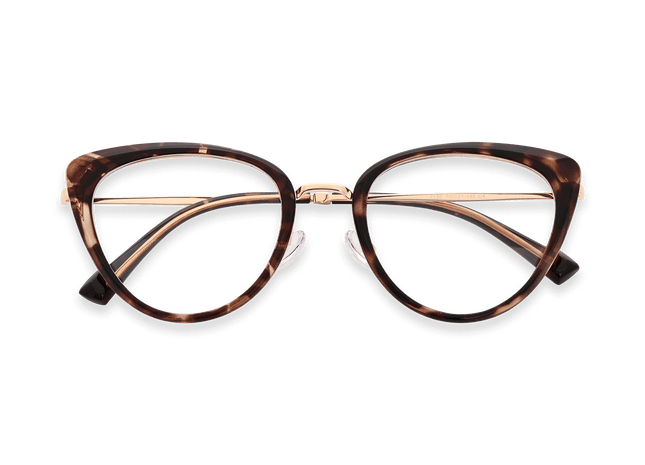 Eydology Amora Dark Tortoise Glasses 1