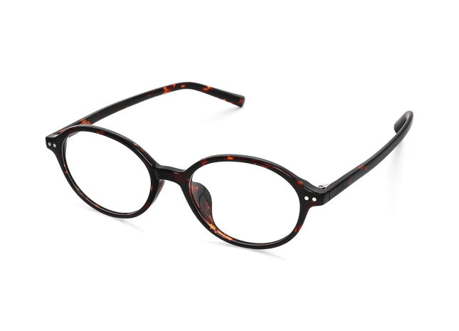 Eydology Ansley Tortoise Glasses 5