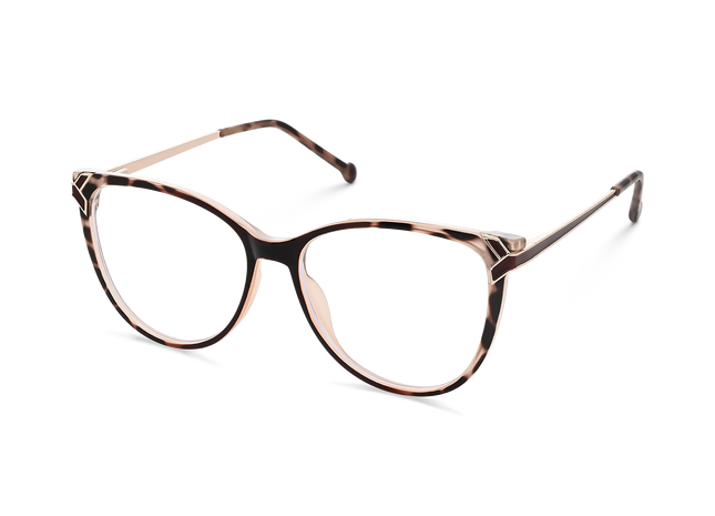 Eydology Ariella Tortoise Glasses 3