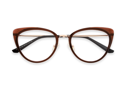Eydology Ashton Dark Brown Glasses 1