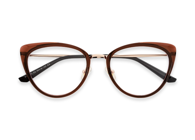 Eydology Ashton Dark Brown Glasses 1