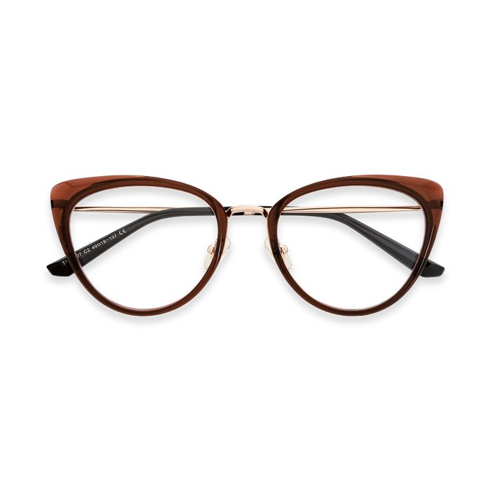 Eydology Ashton Dark Brown Glasses 1