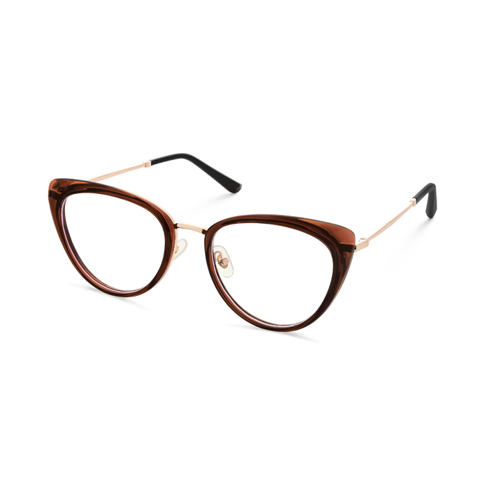Eydology Ashton Dark Brown Glasses 3
