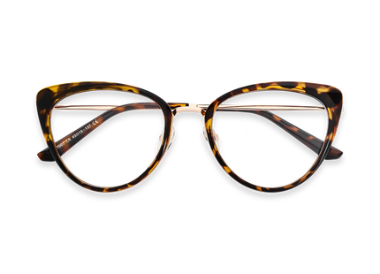 Eydology Ashton Tortoise Glasses 1