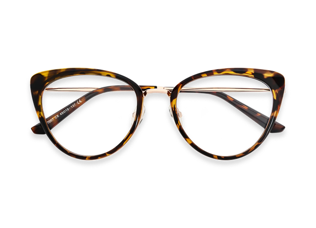 Eydology Ashton Tortoise Glasses 1
