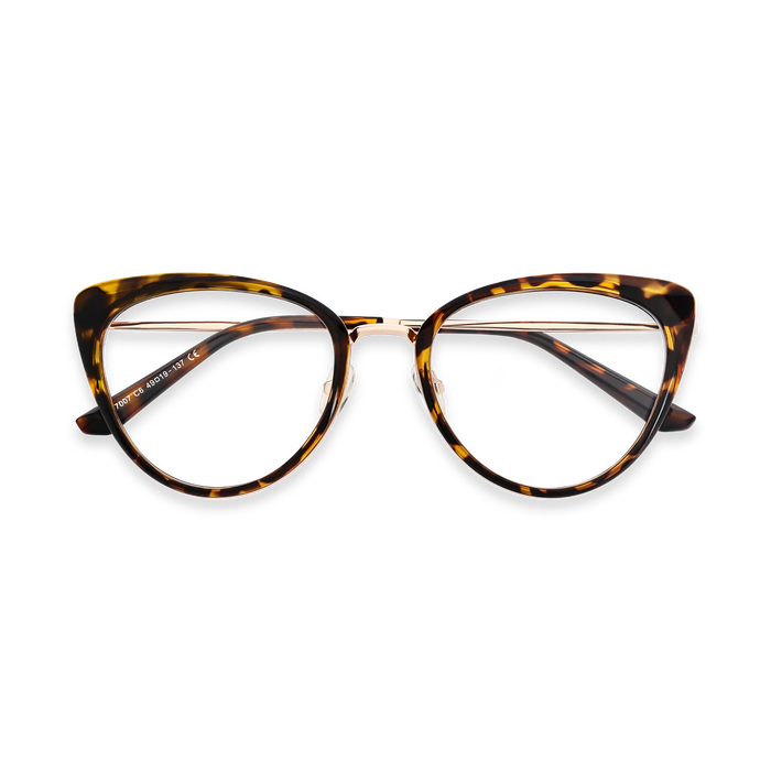 Eydology Ashton Tortoise Glasses 1