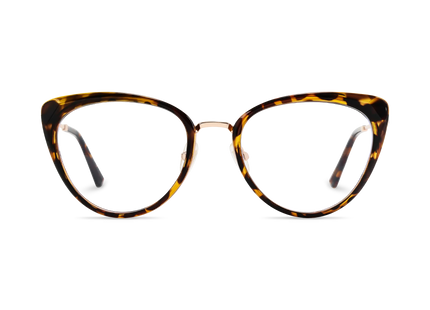 Eydology Ashton Tortoise Glasses 2