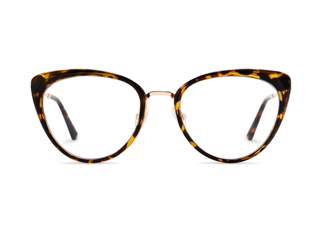 Eydology Ashton Tortoise Glasses 2