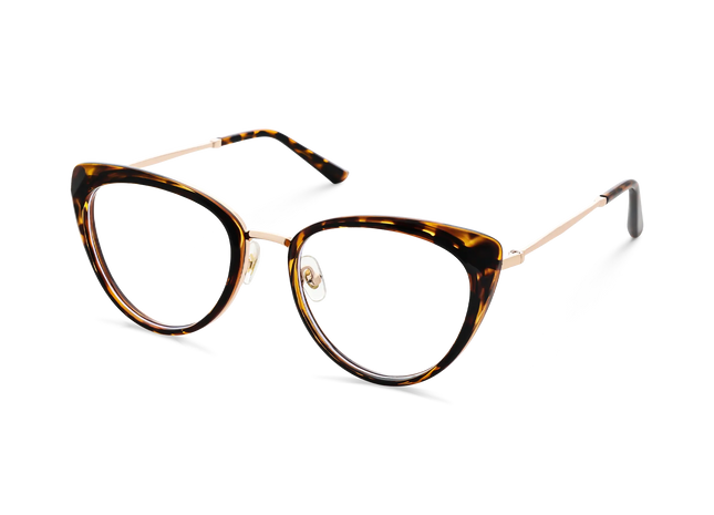 Eydology Ashton Tortoise Glasses 3