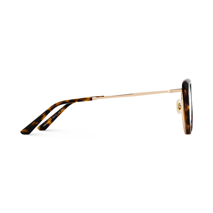 Eydology Ashton Tortoise Glasses 4