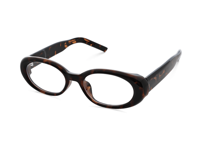 Eydology_Bailey_Tortoise_Eyeglasses_5