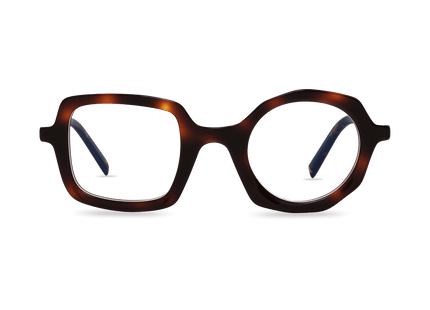 Eydology Bellamy Dark Tortoise Glasses 1