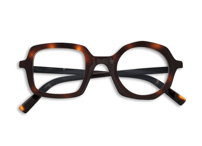 Eydology Bellamy Dark Tortoise Glasses 3