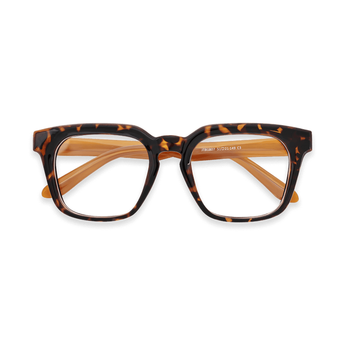 Eydology Cesar Tortoise Glasses 1