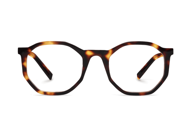 Eydology Colette Amber Tortoise Eyewear 1