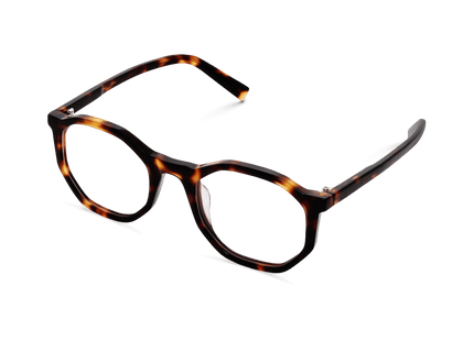 Eydology Colette Amber Tortoise Eyewear 2