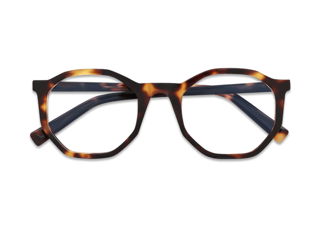 Eydology Colette Amber Tortoise Eyewear 3