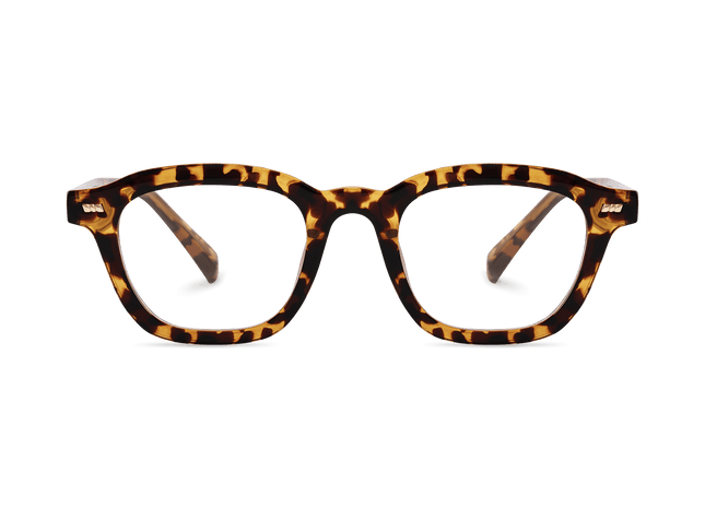 Eydology Collin Tortoise Glasses 2