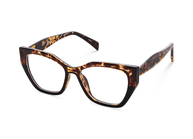 Eydology Denver Tortoise Eyeglasses 6