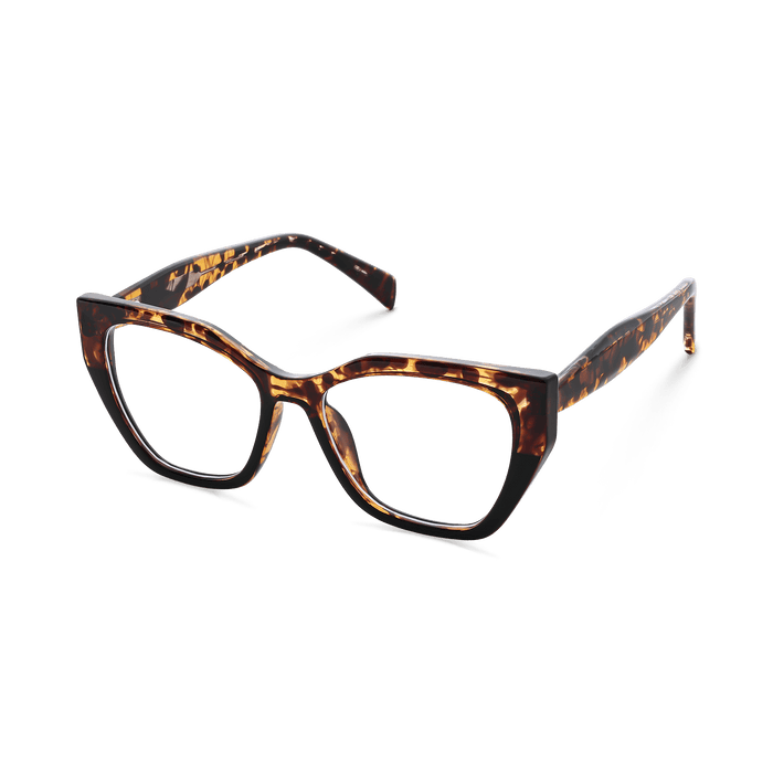 Eydology Denver Tortoise Eyeglasses 6