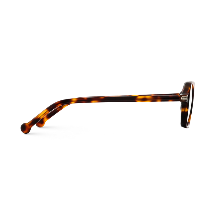 Eydology Eden Amber Tortoise Men's Square Glasses 4