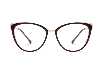 Eydology Eliza Dark Brown Glasses 2