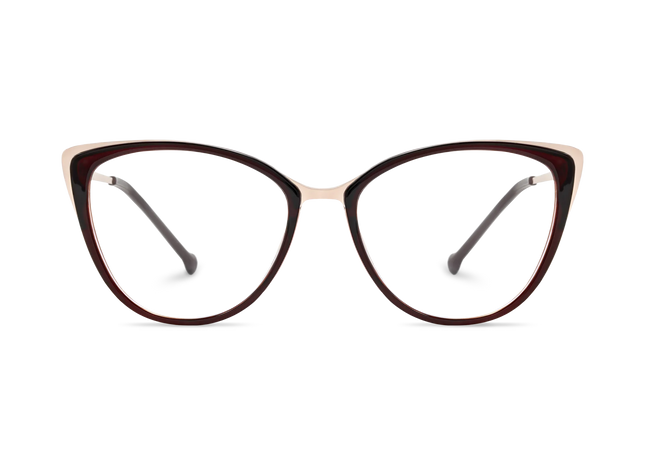 Eydology Eliza Dark Brown Glasses 2