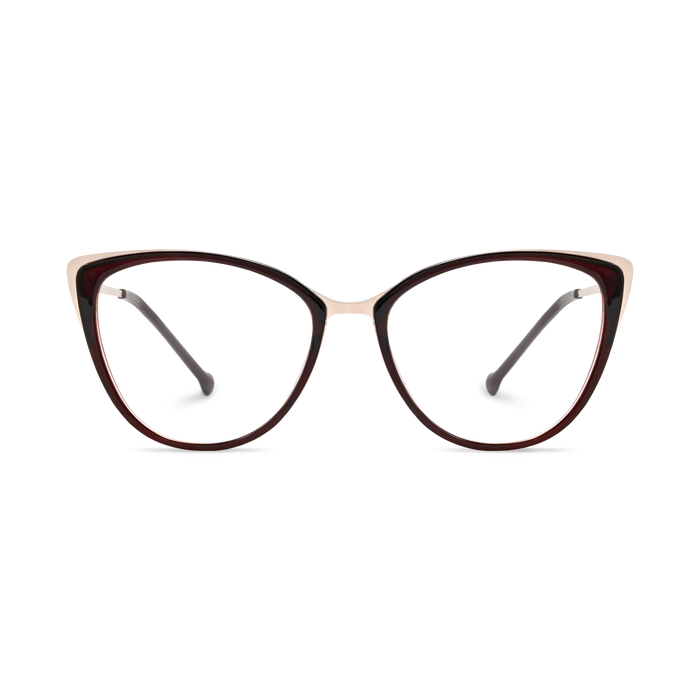 Eydology Eliza Dark Brown Glasses 2