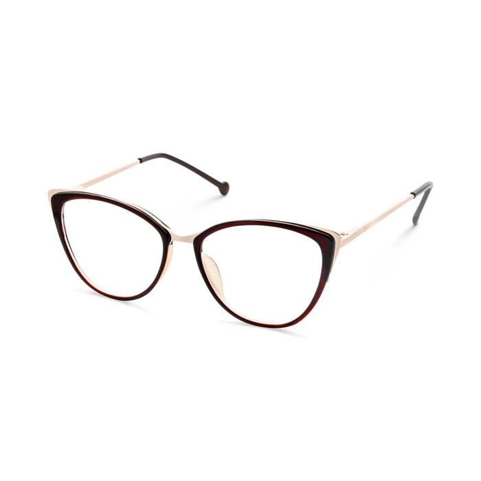 Eydology Eliza Dark Brown Glasses 3