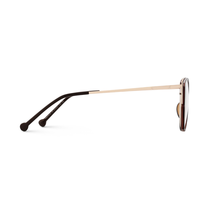 Eydology Eliza Dark Brown Glasses 4