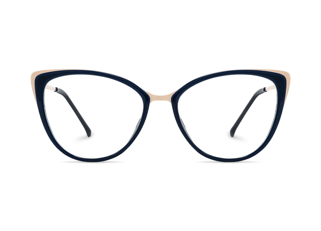 Eydology Eliza Navy Blue Glasses 2