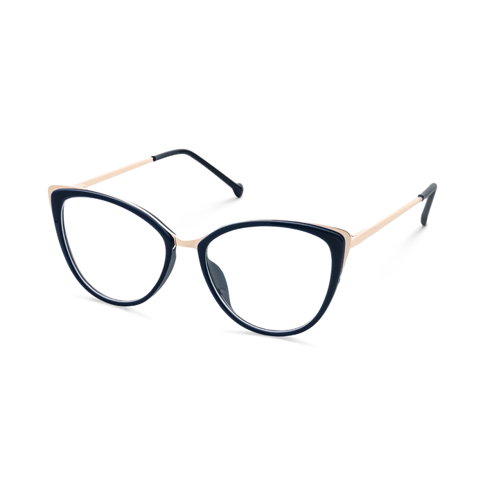 Eydology Eliza Navy Blue Glasses 3