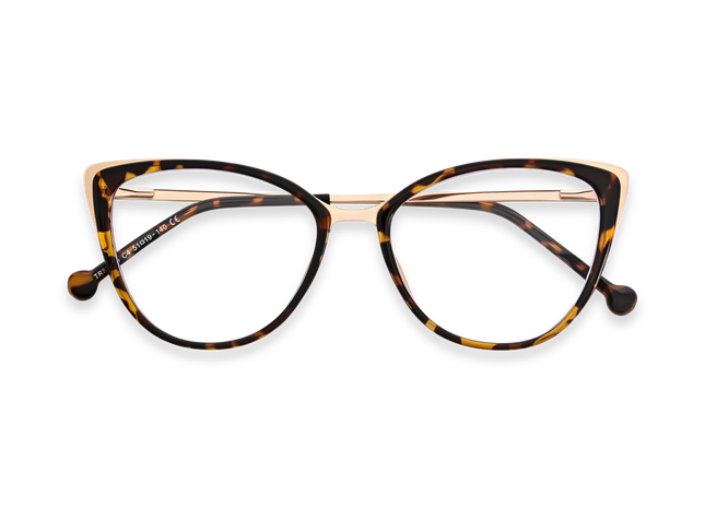 Eydology Eliza Tortoise Glasses 1