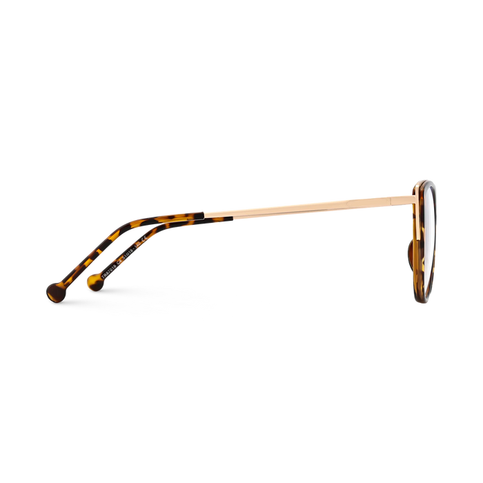 Eydology Eliza Tortoise Glasses 4