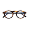Eydology Everleigh Amber Tortoise Glasses 3