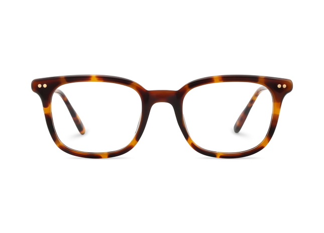 Eydology Frankie Amber Tortoise Square Men's Glasses 2