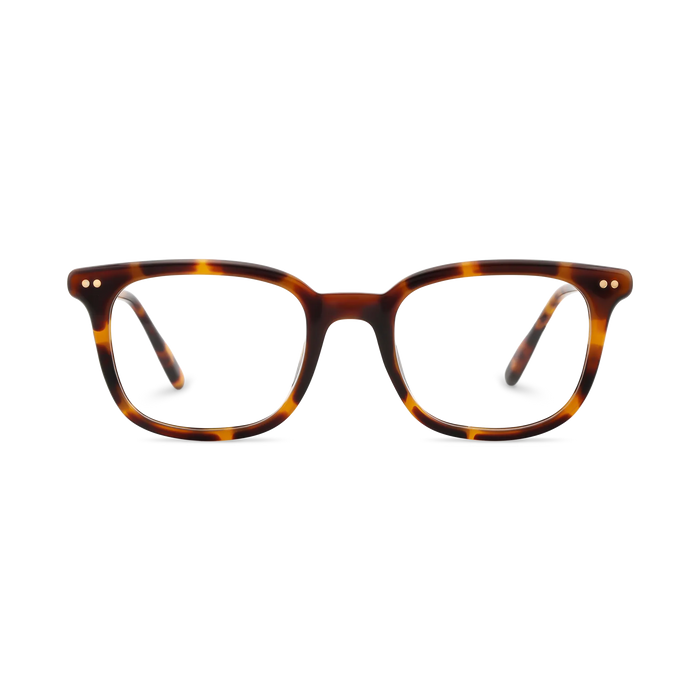 Eydology Frankie Amber Tortoise Square Men's Glasses 2