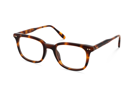 Eydology Frankie Amber Tortoise Square Men's Glasses 3
