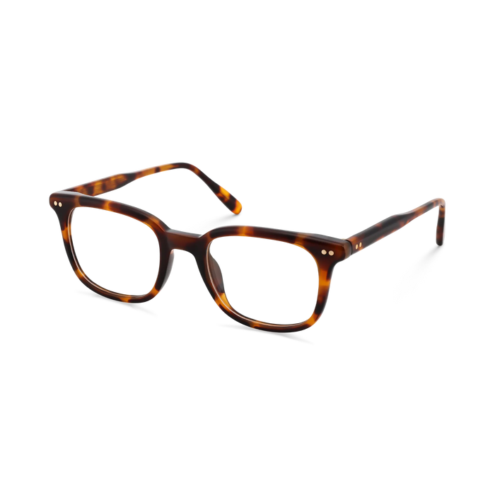 Eydology Frankie Amber Tortoise Square Men's Glasses 3